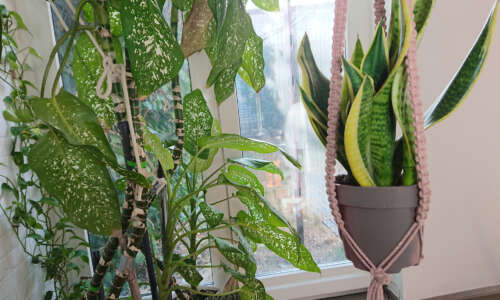 Makrama – kwietnik