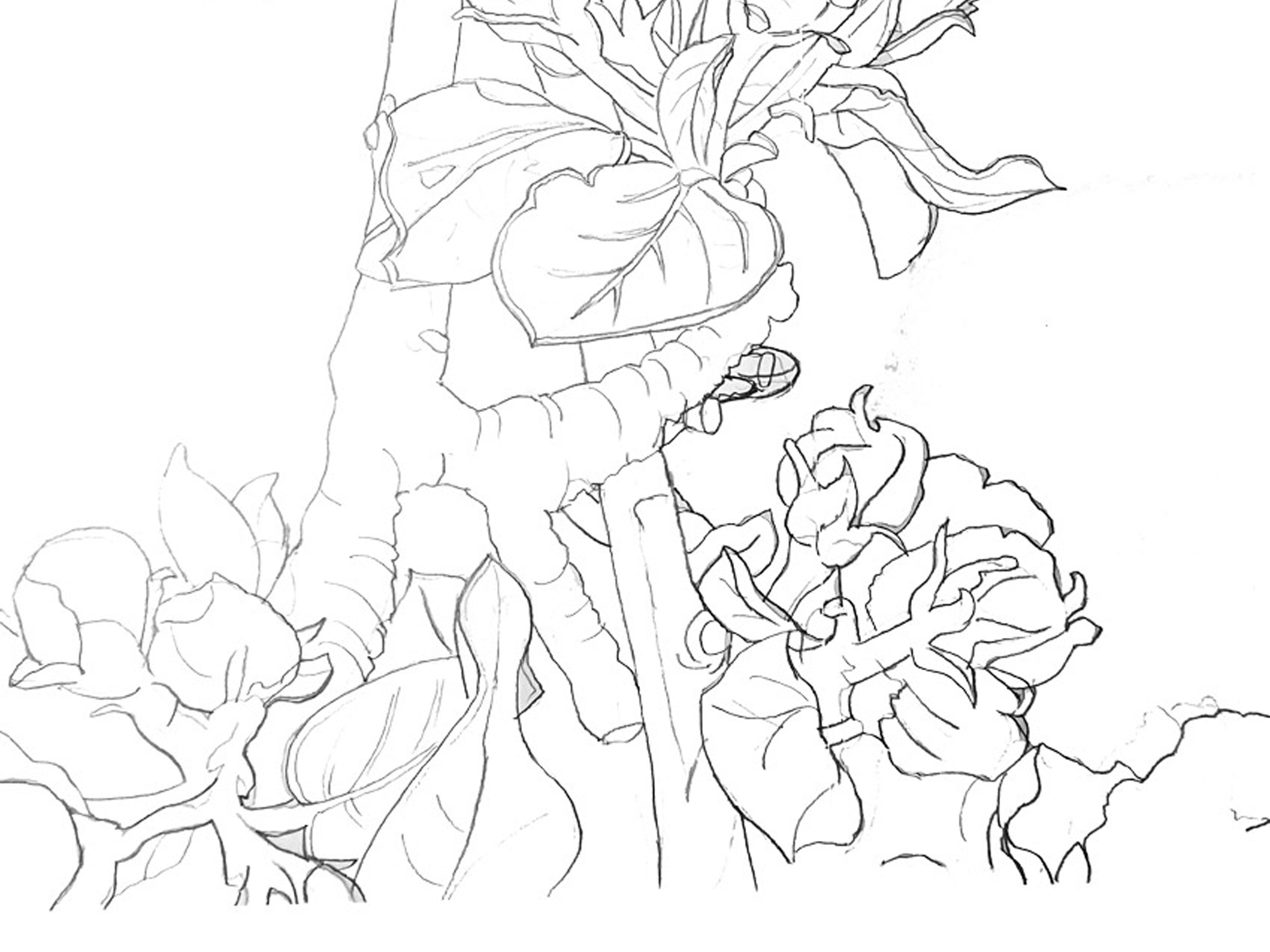 Batik z natury - obrazek 2